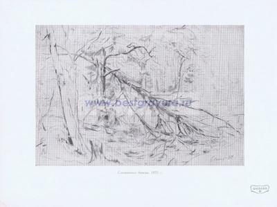 Фотография 0218.jpg