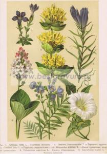 Фотография 0051.jpg