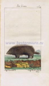 Фотография 0005.jpg
