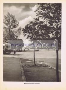 Фотография 0190.jpg