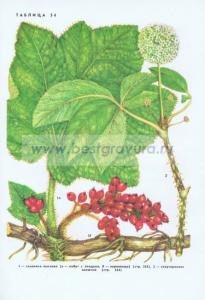 Фотография 0254.jpg