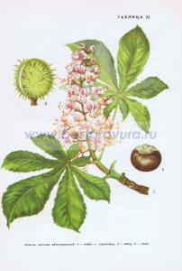 Фотография 0033.jpg