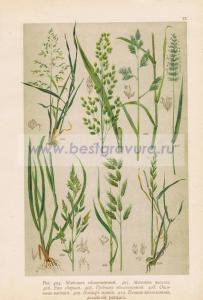 Фотография 0073.jpg