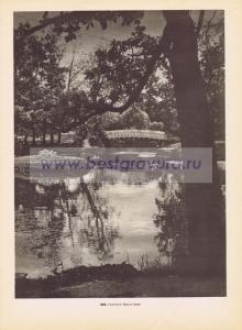 Фотография 0323.jpg