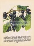 Фотография 0231.jpg