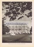 Фотография 0198.jpg
