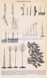 Фотография 0310.jpg