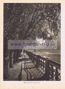 Фотография 0182.jpg