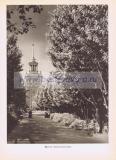 Фотография 0265.jpg