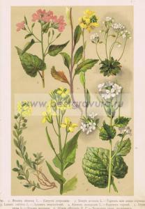 Фотография 0007.jpg