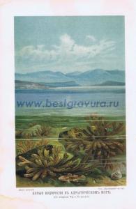 Фотография 0012.jpg