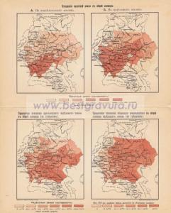 Фотография 0049.jpg