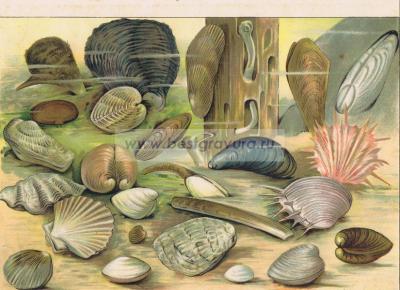 Фотография 0016.jpg