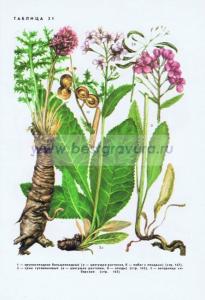 Фотография 0231.jpg