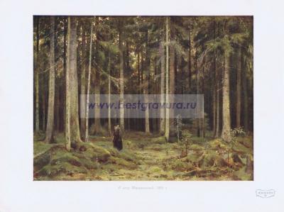 Фотография 0211.jpg