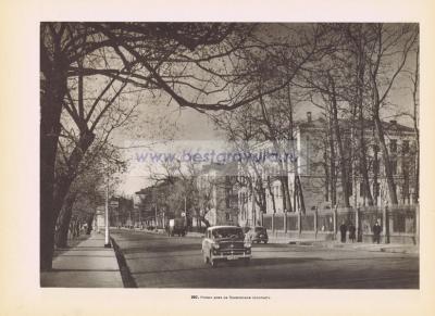 Фотография 0207.jpg