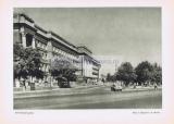 Фотография 0048.jpg