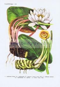 Фотография 0224.jpg