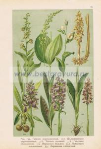 Фотография 0065.jpg