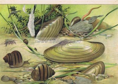 Фотография 0014.jpg