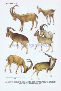 Фотография 0222.jpg