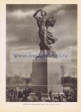 Фотография 0219.jpg