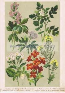 Фотография 0006.jpg