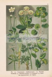 Фотография 0025.jpg