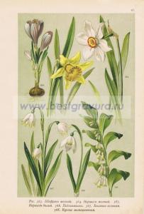 Фотография 0067.jpg