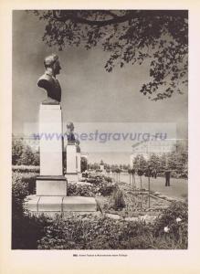 Фотография 0262.jpg