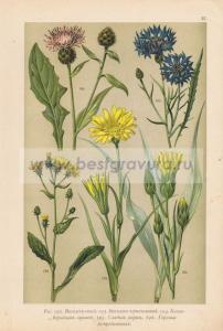 Фотография 0037.jpg