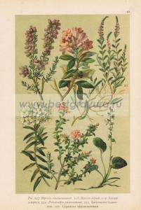 Фотография 0042.jpg