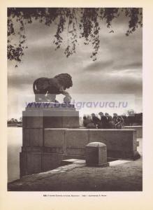 Фотография 0222.jpg