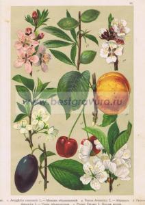 Фотография 0020.jpg