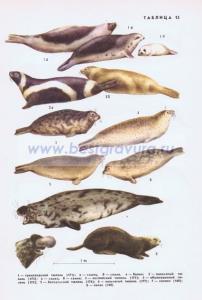 Фотография 0215.jpg