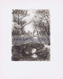 Фотография 0008.jpg