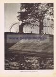 Фотография 0103.jpg