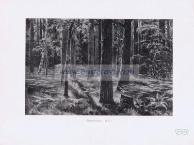 Фотография 0223.jpg