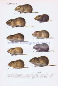 Фотография 0238.jpg