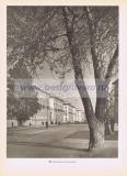 Фотография 0208.jpg