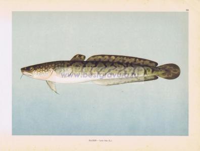 Фотография 0151.jpg