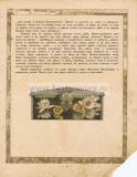 Страница 9.