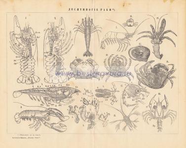 Фотография 0030.jpg