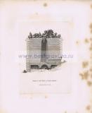 Фотография 0111.jpg