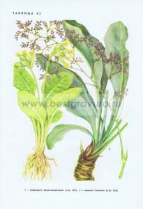 Фотография 0262.jpg