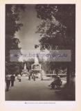 Фотография 0303.jpg