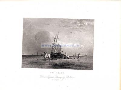 Фотография 0006.jpg