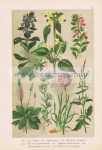 Фотография 0056.jpg