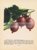 Фотография 0220.jpg