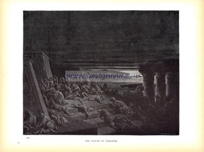 Фотография 0059.jpg